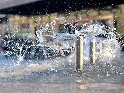 九合垸原种场企业风采