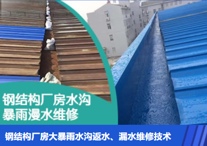 九合垸原种场金属屋面防腐翻新确保金属屋面长久使用