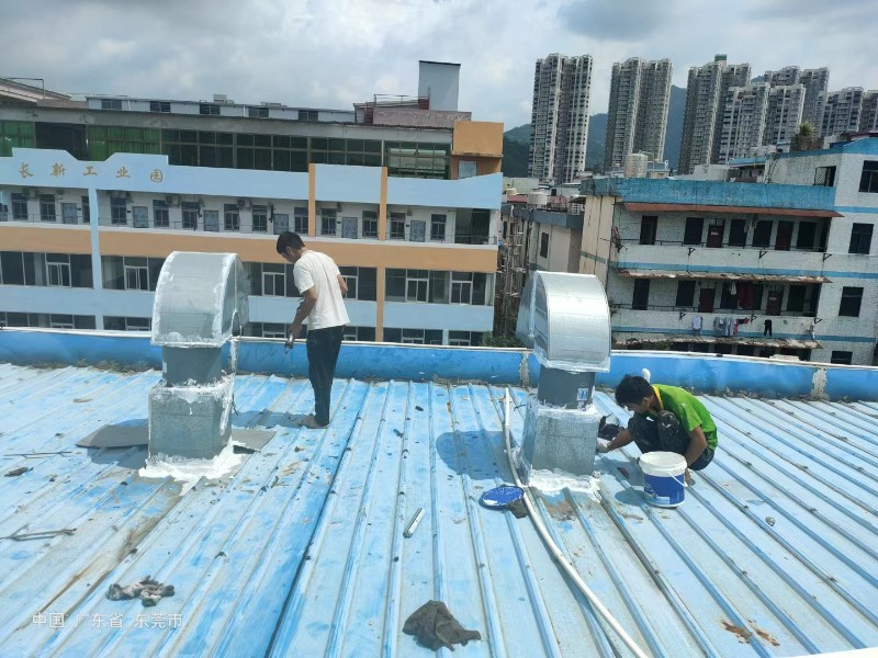 九合垸原种场钢结构屋面涂料维修方法