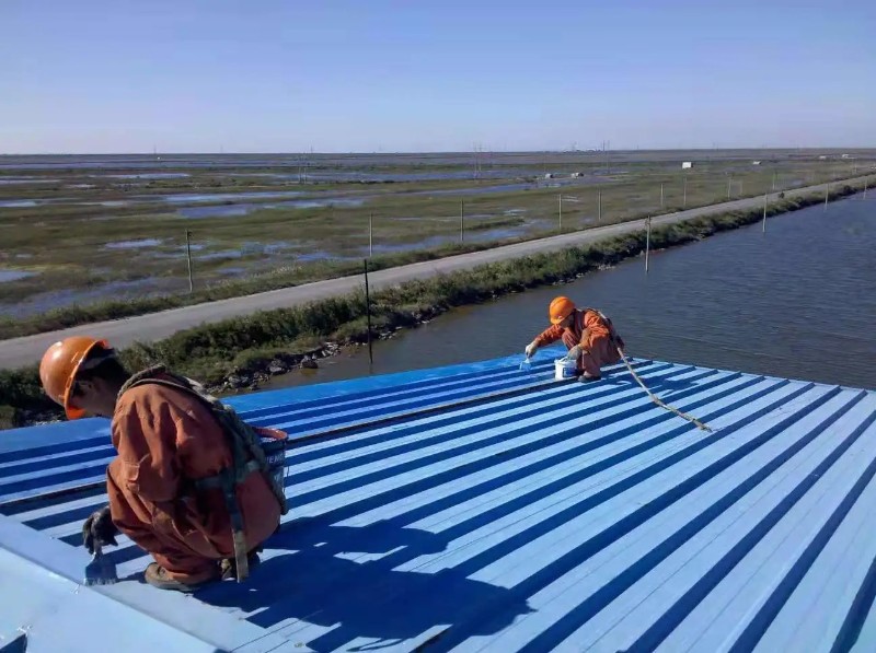 九合垸原种场彩钢瓦屋面防腐翻新